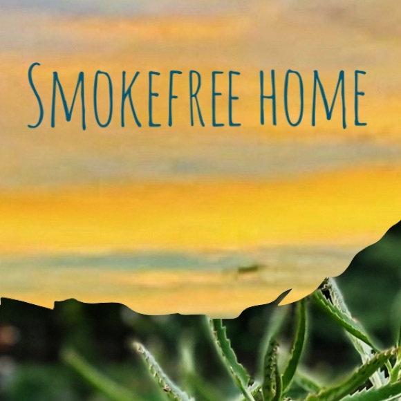 New Wool Rug 2.5’x4.5’ made in NMexico wool - Picture 4 of 4